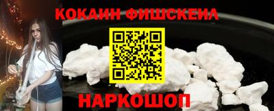 крисы Кулебаки