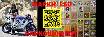 крисы Кулебаки