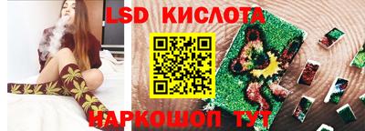 крисы Кулебаки
