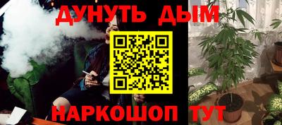 крисы Кулебаки