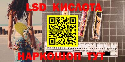 крисы Кулебаки