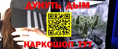крисы Кулебаки