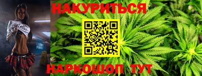 крисы Кулебаки