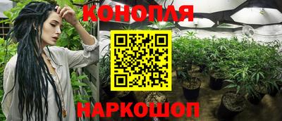 крисы Кулебаки