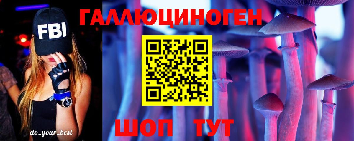 Псилоцибиновые грибы Psilocybe Ишим